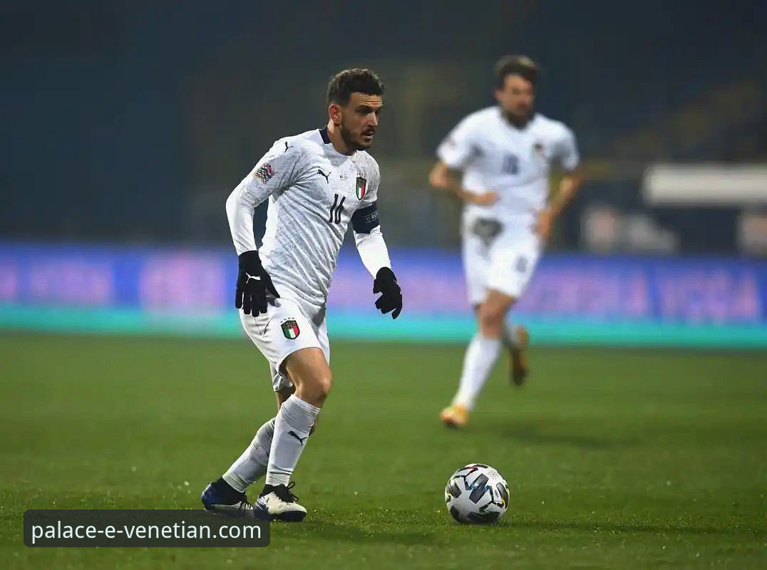 威尼斯人官方网站登录 意大利队世界杯梦碎波黑最新动态,威尼斯人娱乐城前瞻视角解析